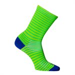 SGX Apple Stripes socks